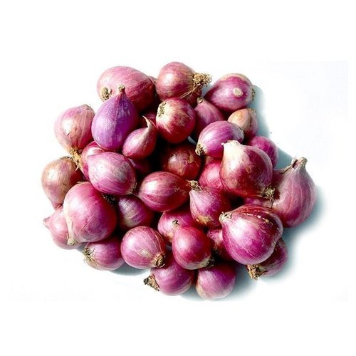 sambhar-onion-500x500-1