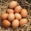 natural-brown-hen-eggs-531