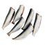 sardine_cleaned_-_copy-rotated